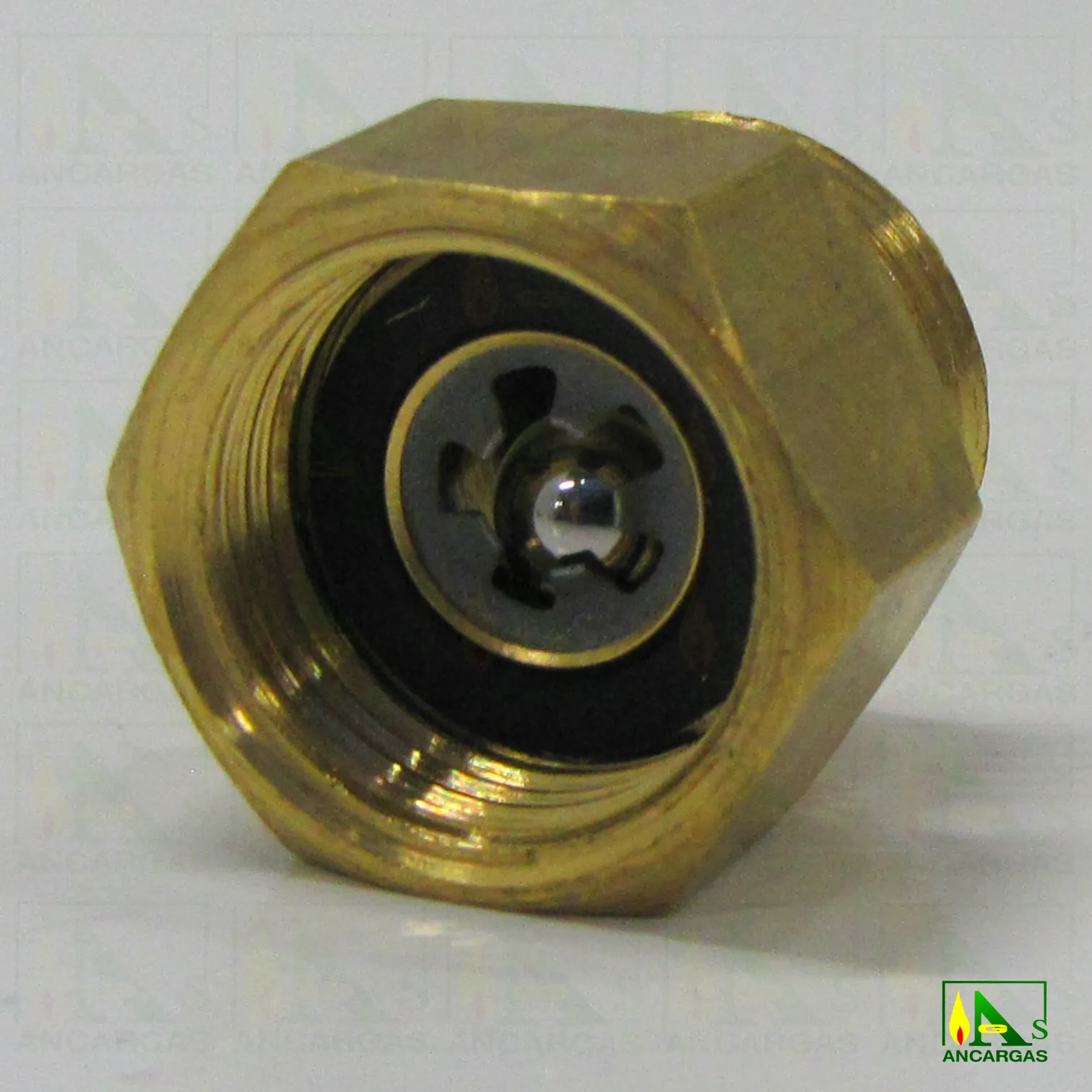 Válvula antirretorno - Imagen Web de Ancargas ©