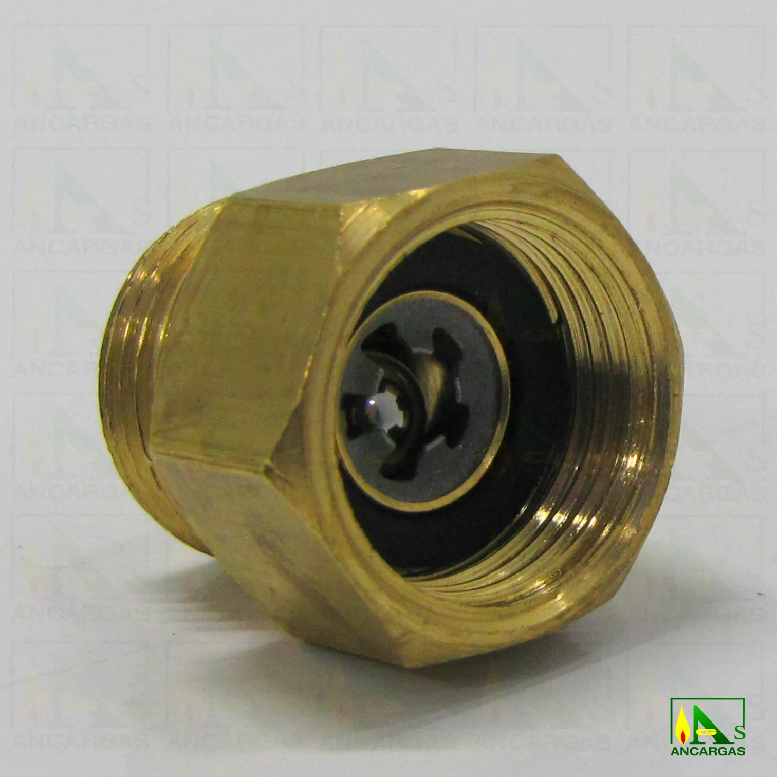 Válvula antirretorno - Imagen Web de Ancargas ©