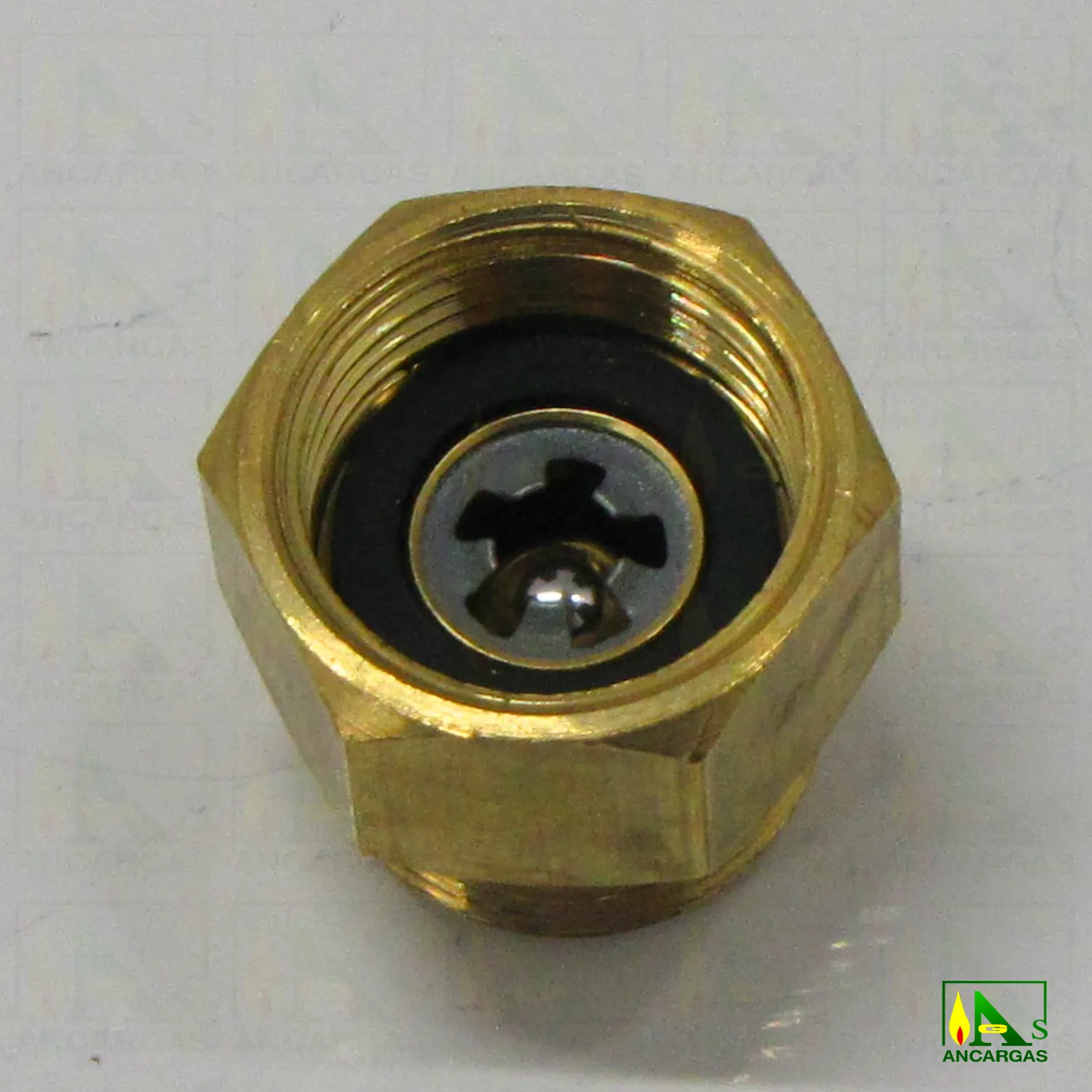 Válvula antirretorno - Imagen Web de Ancargas ©