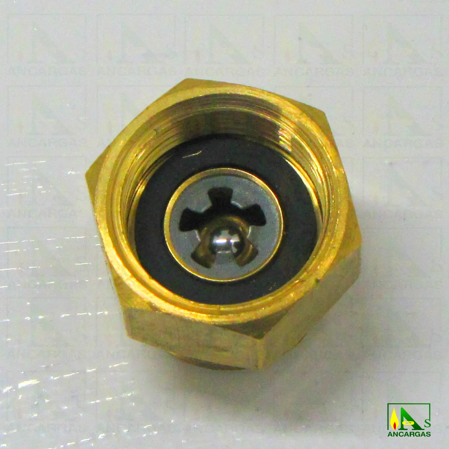 Válvula antirretorno - Imagen Web de Ancargas ©