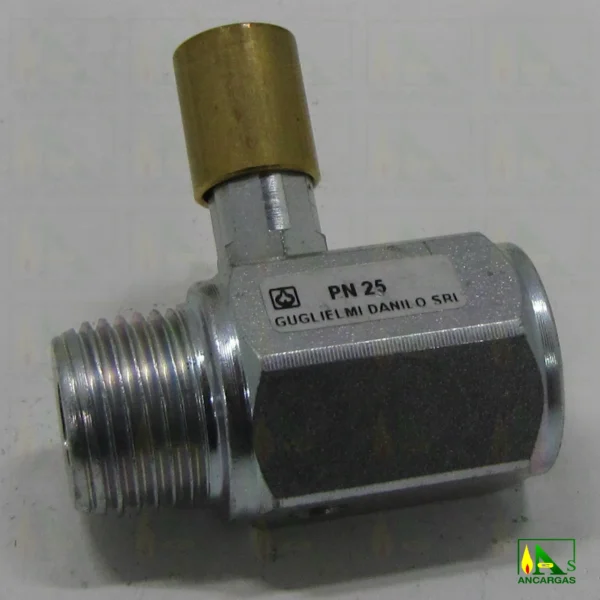 Válvula portamanómetro – Imagen Web de Ancargas ©