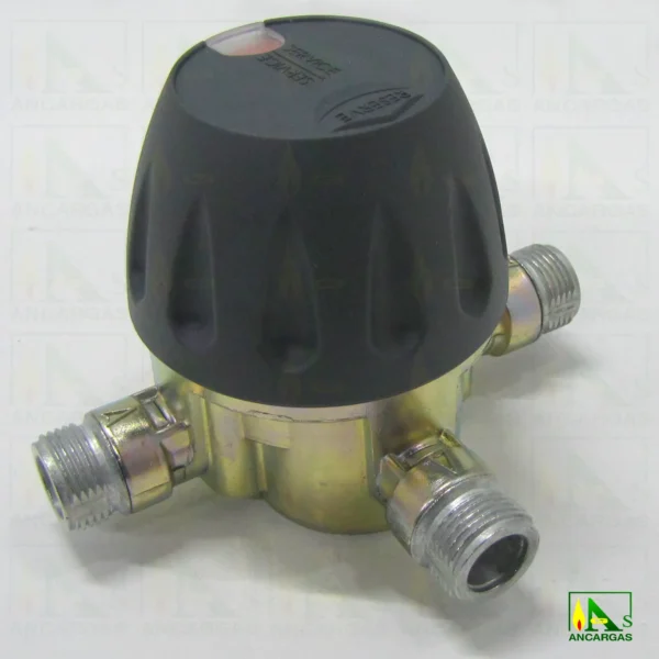 Inversor automático - Imagen Web de Ancargas ©