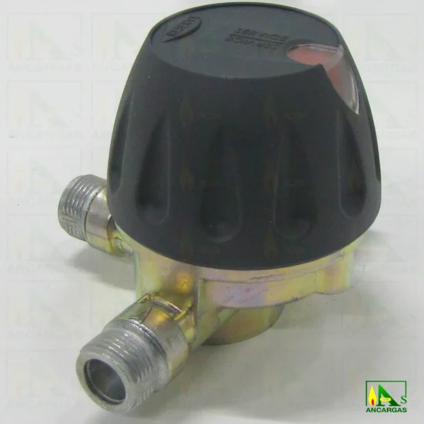 Inversor automático - Imagen Web de Ancargas ©