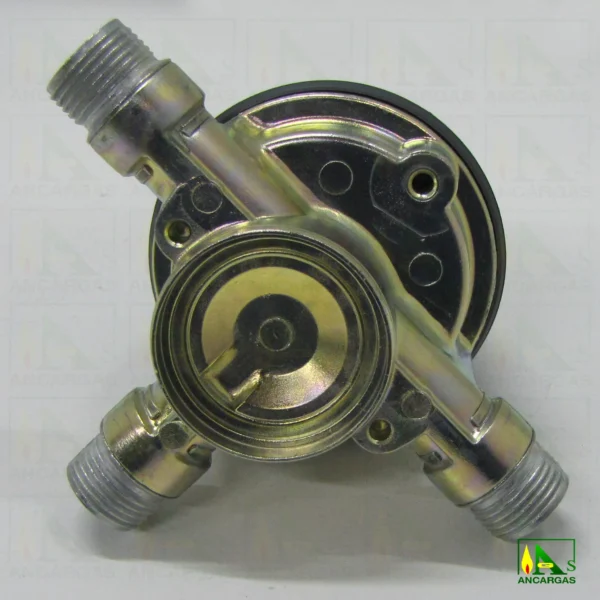 Inversor automático - Imagen Web de Ancargas ©