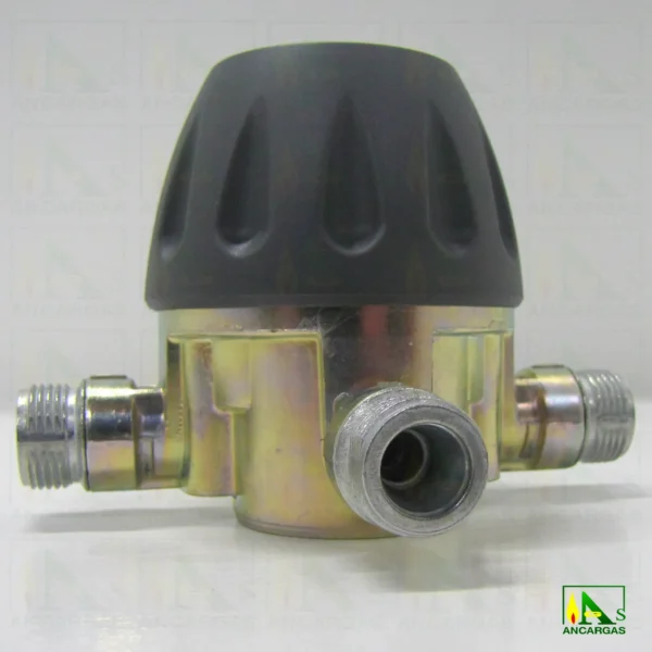Inversor automático - Imagen Web de Ancargas ©