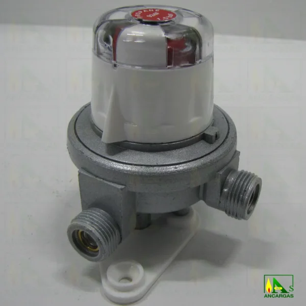 Inversor automático Reca 8 kgh MxM 20x150 - Imagen Web de Ancargas ©