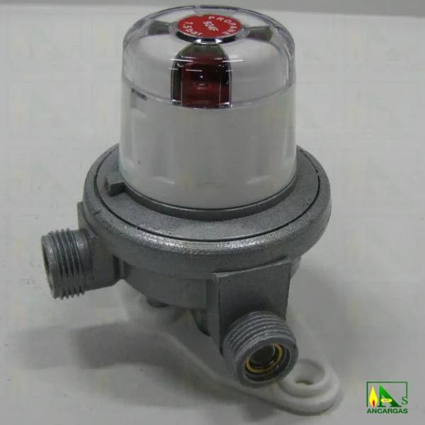 Inversor automático Reca 8 kgh MxM 20x150 - Imagen Web de Ancargas ©