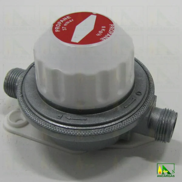 Regulador Reca 8kgh 37mbar VIS MIN con capucha - Imagen Web de Ancargas ©