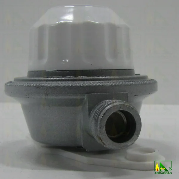 Regulador Reca 8kgh 37mbar VIS MIN con capucha - Imagen Web de Ancargas ©