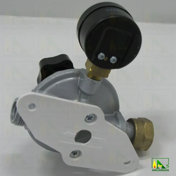 Regulador Reca 4kgh regulable 0-300mbar con manómetro - Imagen Web de Ancargas ©