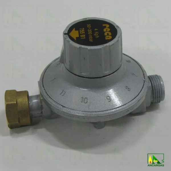 Regulador Reca presión regulable - Imagen Web de Ancargas ©