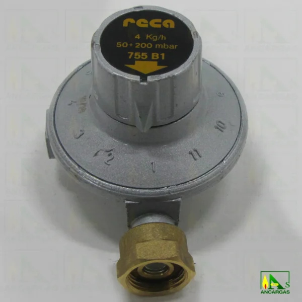 Regulador Reca presión regulable - Imagen Web de Ancargas ©