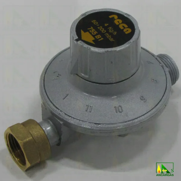 Regulador Reca presión regulable - Imagen Web de Ancargas ©