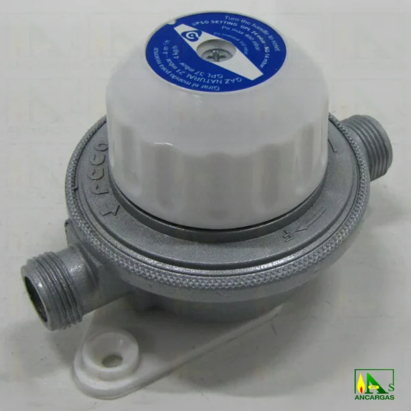 Regulador convertible Reca 22 o 37 mbar 4kg - Imagen Web de Ancargas ©