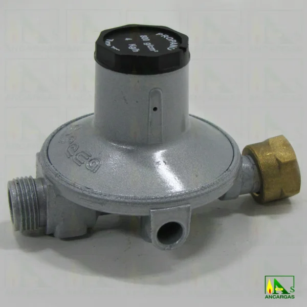 Reductor abonado Reca fijo MP 2ª etapa - Imagen Web de Ancargas ©