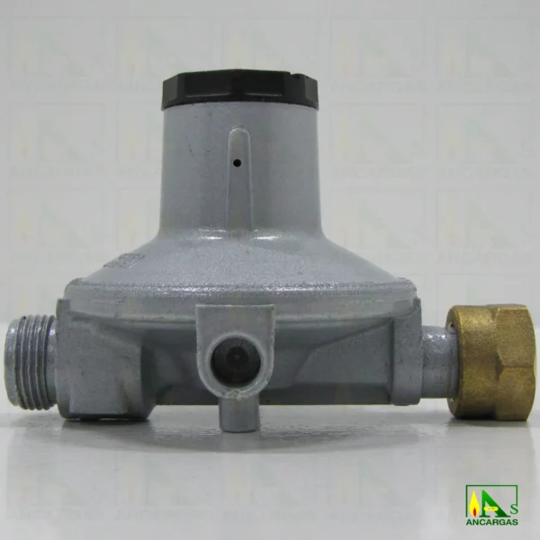 Reductor abonado Reca fijo MP 2ª etapa - Imagen Web de Ancargas ©