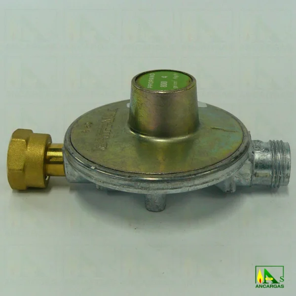 Reductor abonado BRIFFAULT fijo MP 04 2ª etapa - Imagen Web de Ancargas ©
