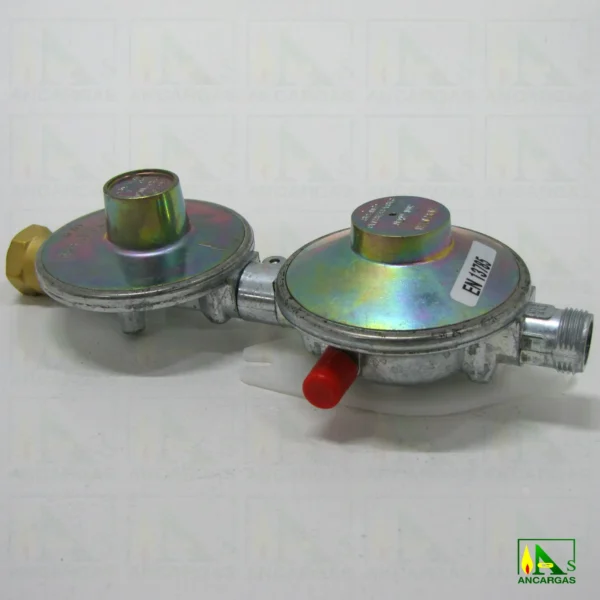Regulador BRIFFAULT fijo ref. RB-150 para MPB entrada contador - Imagen Web de Ancargas ©