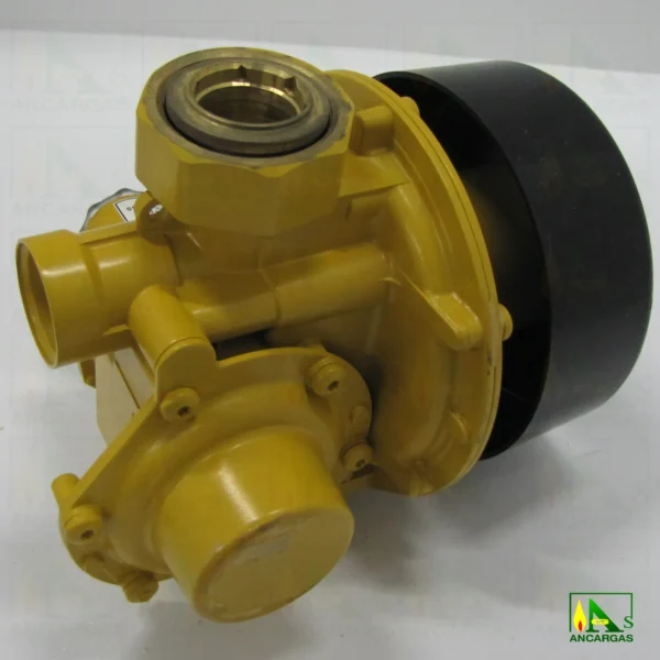 Regulador Briffault CY50ENT- Imagen Web de Ancargas ©
