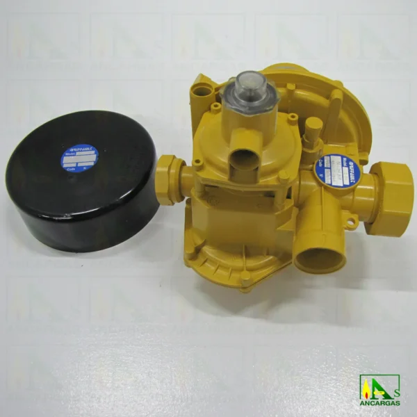 Regulador Briffault CY50ENT- Imagen Web de Ancargas ©
