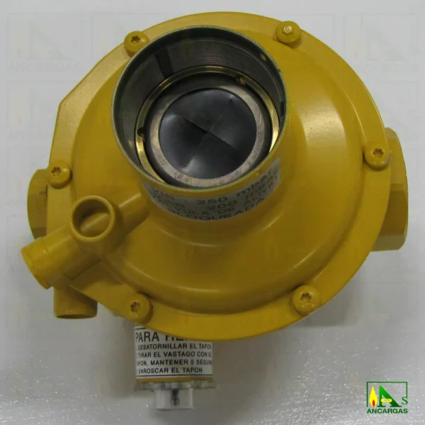 Regulador Briffault CY50ENT- Imagen Web de Ancargas ©