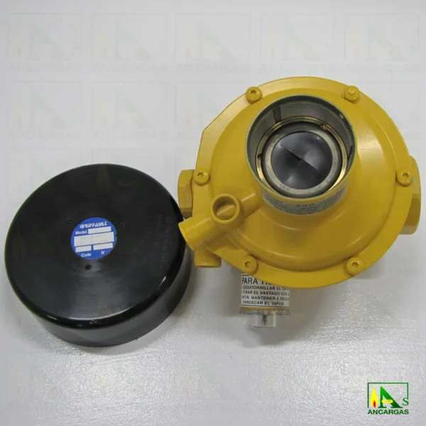 Regulador Briffault CY50ENT- Imagen Web de Ancargas ©