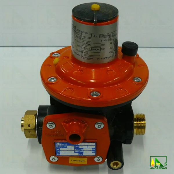 Limitador BRIFFAULT 1ª etapa HP-100 - Imagen Web de Ancargas ©