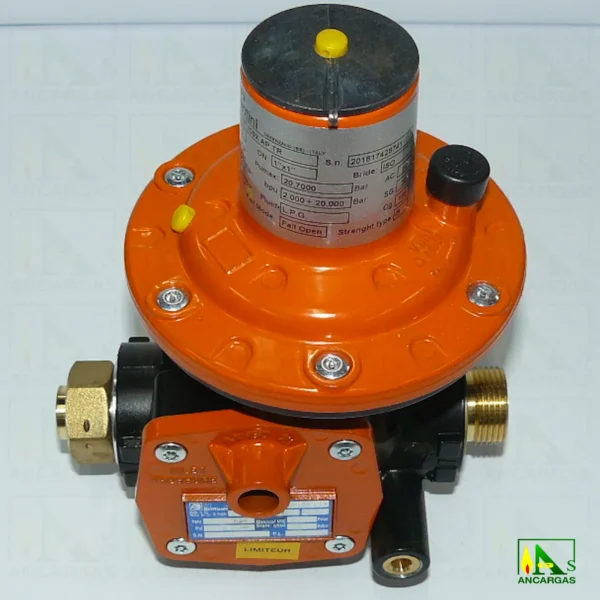 Limitador BRIFFAULT 1ª etapa HP-100 - Imagen Web de Ancargas ©