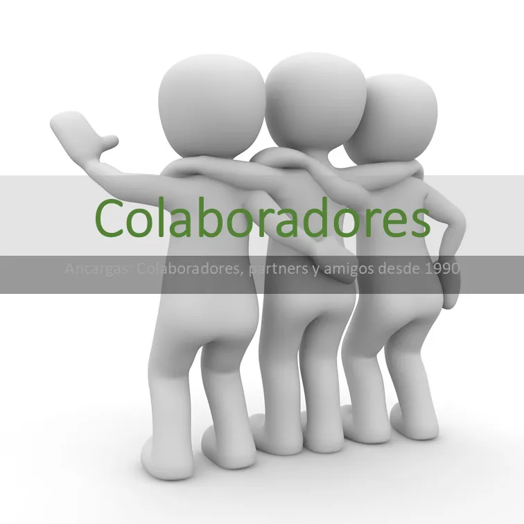 Colaboradores