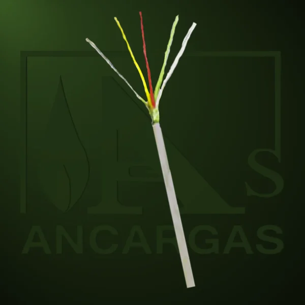 Cable-S10 - Imagen Web de Ancargas ©