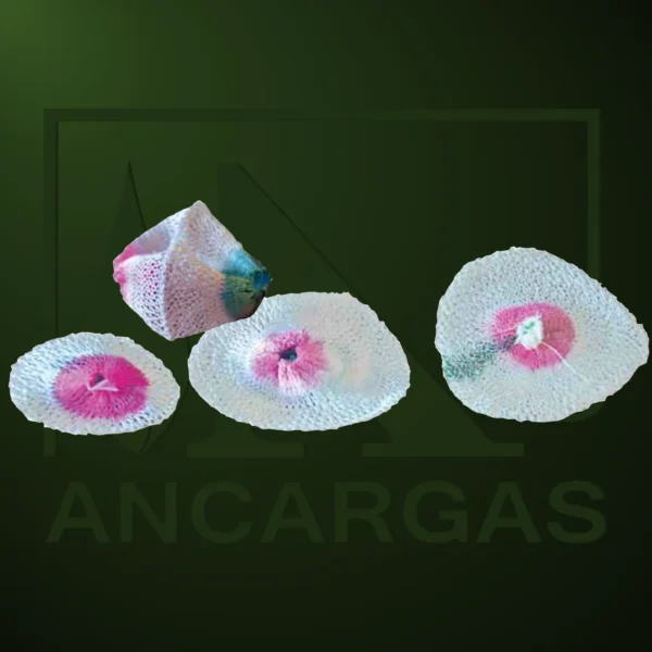 recambios - Imagen Web de Ancargas ©