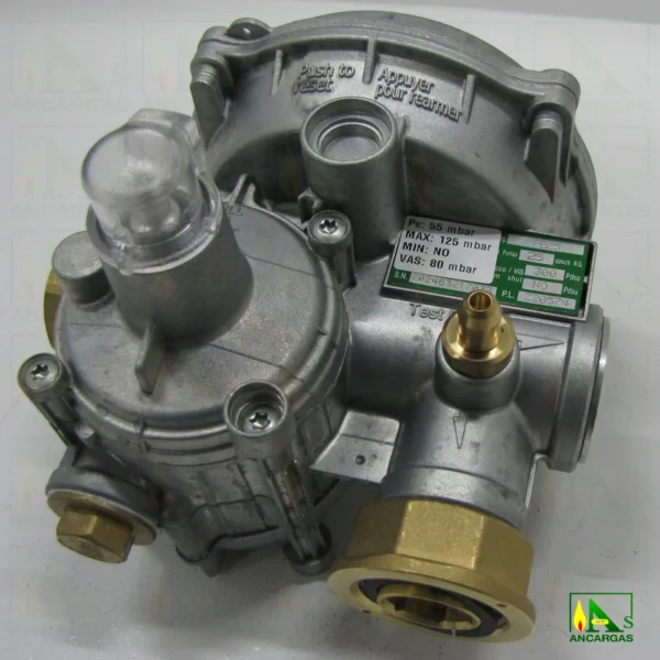 Regulador Fiorentini FE-25 escuadra 55mbar – Imagen Web de Ancargas ©