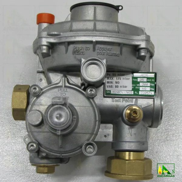 Regulador Fiorentini FE-25 escuadra 55mbar – Imagen Web de Ancargas ©