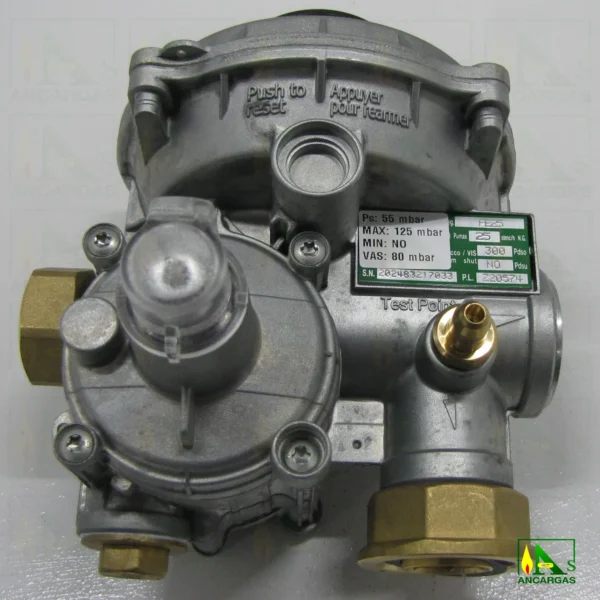 Regulador Fiorentini FE-25 escuadra 55mbar – Imagen Web de Ancargas ©