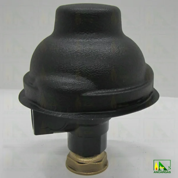 Regulador abonado para GN – Imagen Web de Ancargas ©