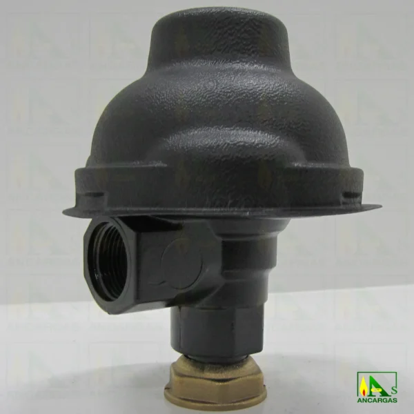 Regulador abonado para GN – Imagen Web de Ancargas ©