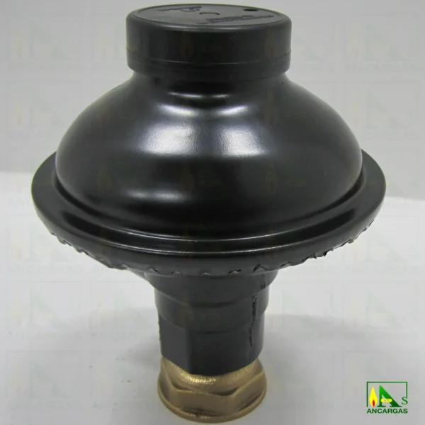 Regulador abonado para GN – Imagen Web de Ancargas ©