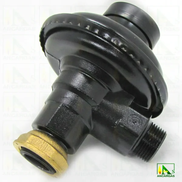 Regulador abonado GAS NATURAL NG-6 escuadra – Imagen Web de Ancargas ©