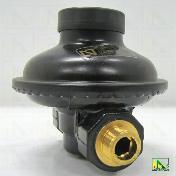 Regulador abonado GAS NATURAL NG-6 recto con purgador – Imagen Web de Ancargas ©