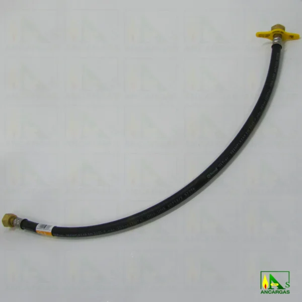 Lira homologada para botellas GLP - Imagen Web de Ancargas ©