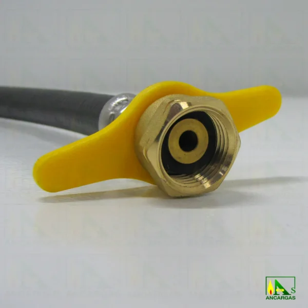 Lira homologada para botellas GLP - Imagen Web de Ancargas ©