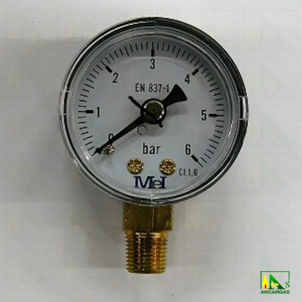 Manómetro seco - Imagen Web de Ancargas ©