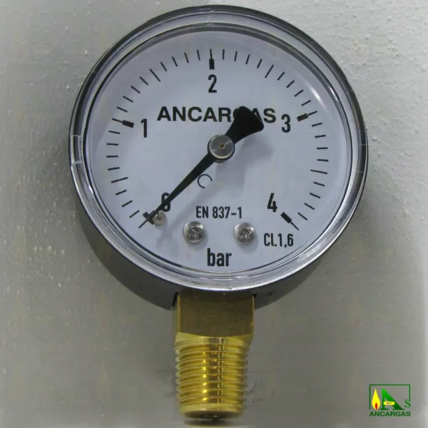 Manómetro seco vertical Ø50 - Imagen Web de Ancargas ©