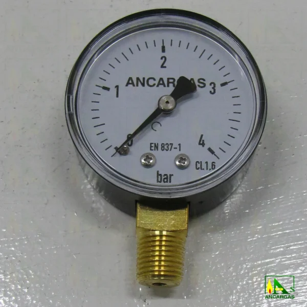 Manómetro seco vertical Ø50 - Imagen Web de Ancargas ©