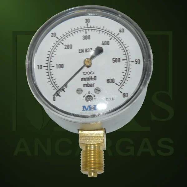 Manómetro seco en inox - Imagen Web de Ancargas ©