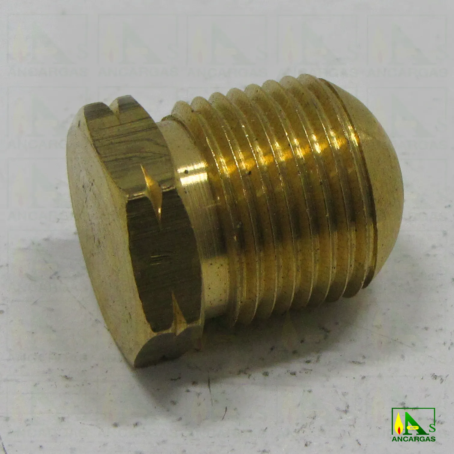 Tapón para multivalvula - Imagen Web de Ancargas ©