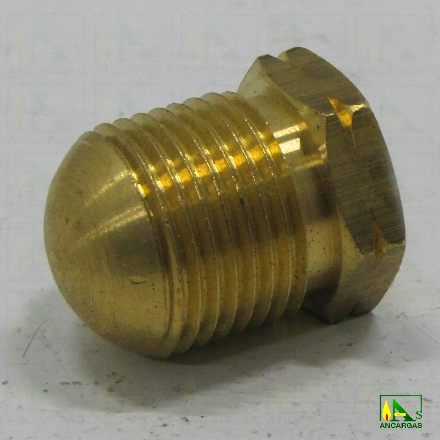 Tapón para multivalvula - Imagen Web de Ancargas ©