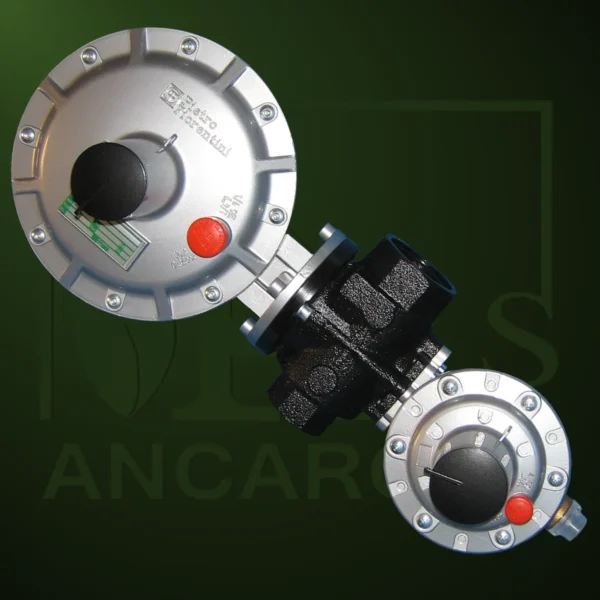 Regulador Dival con seguridad – Imagen Web de Ancargas ©