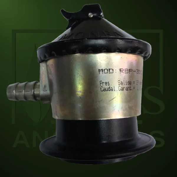 Regulador Doméstico con seguridad - Imagen Web de Ancargas ©