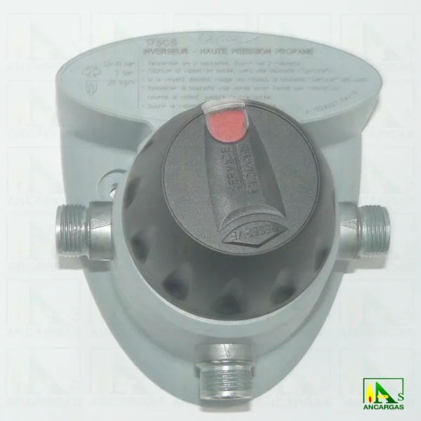 Inversor automático - Imagen Web de Ancargas ©